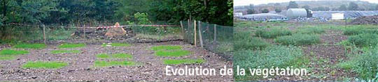 Évolution de la végétation